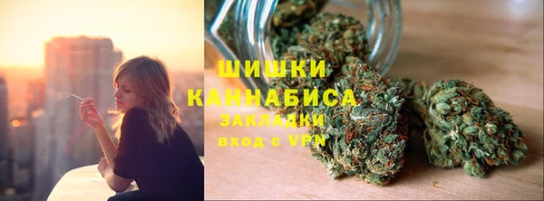 крисы Надым