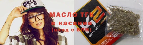 крисы Надым