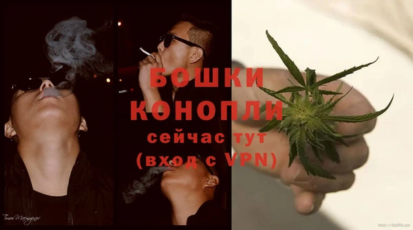 крисы Надым