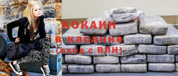 крисы Надым