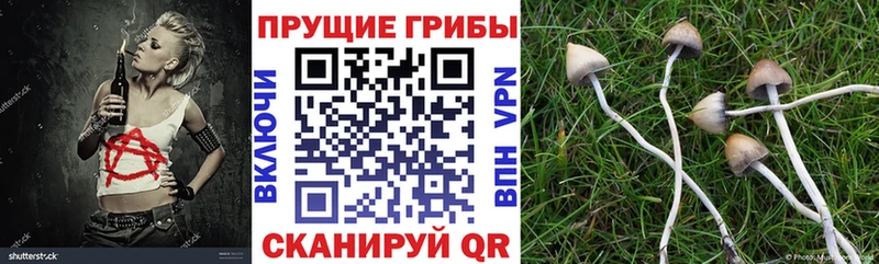 Галлюциногенные грибы мухоморы  Сатка 