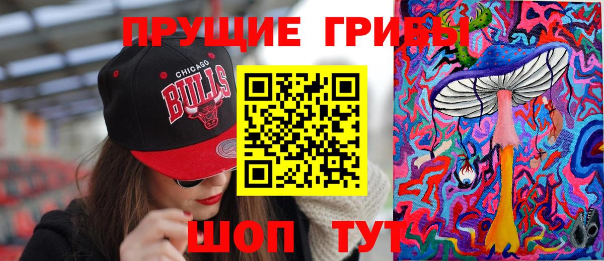 Псилоцибиновые грибы мицелий Сатка